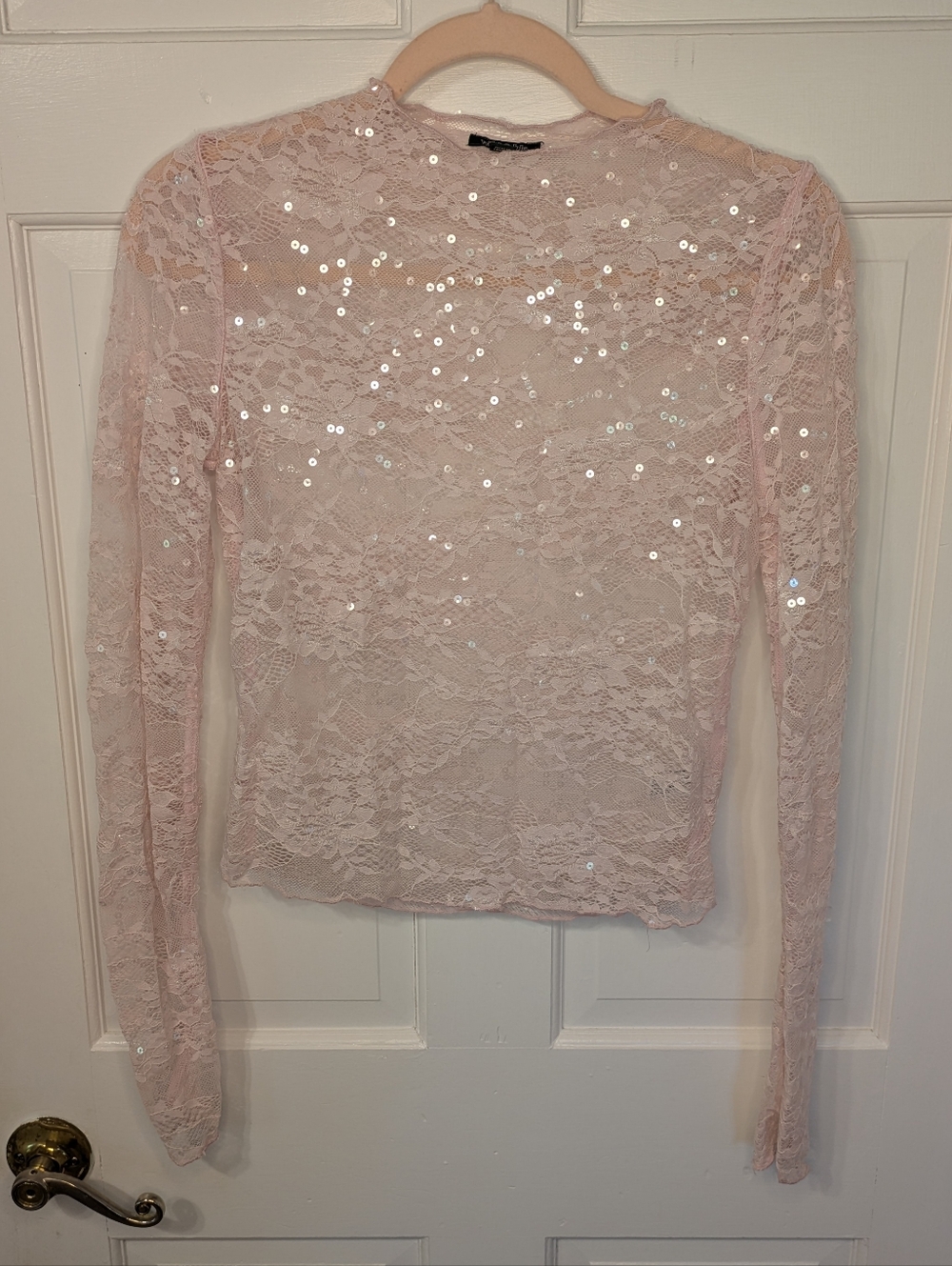 wild fable Sheer Lace Sequin Long-Sleeve Top Light Pastel Pink
